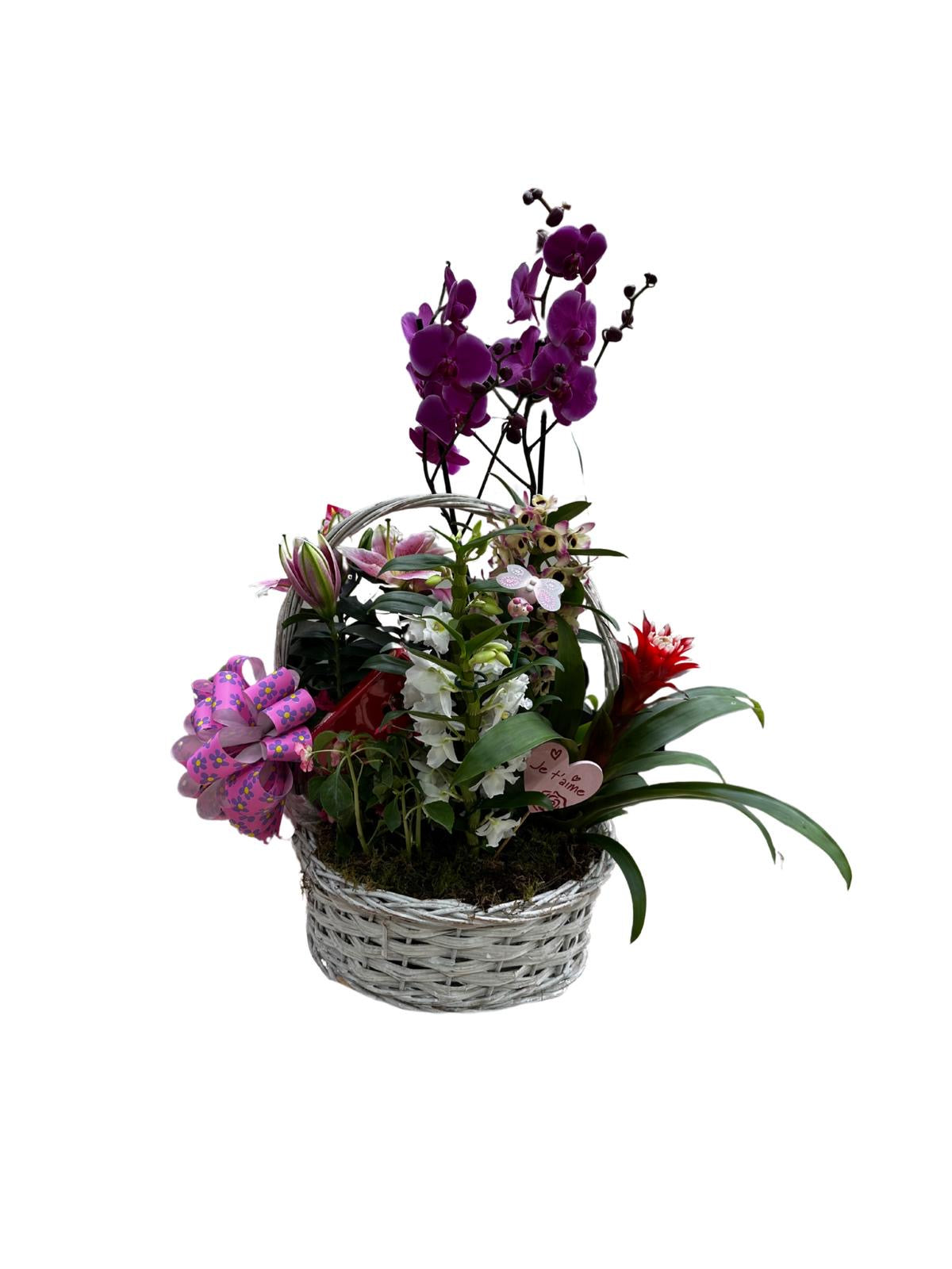 Cesta Premium Madre del Amor Hermoso