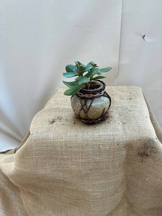 Jade in ceramics