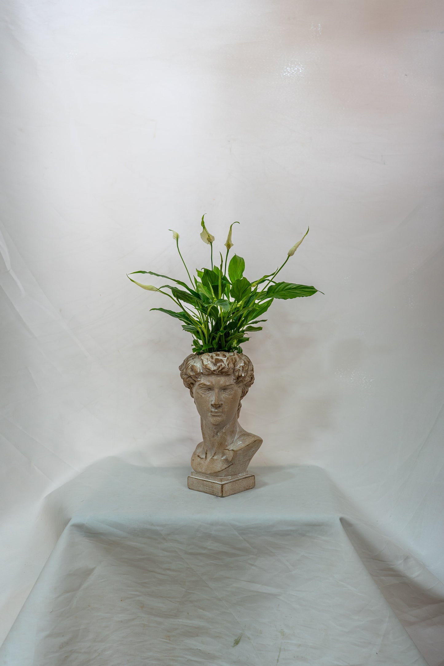 Miguel Angel with the Peace Plant