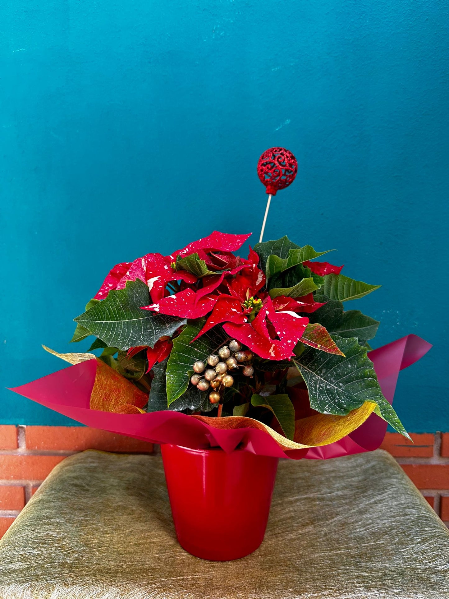 Pascuero Jaspeado Decorado en Maceta Cerámica