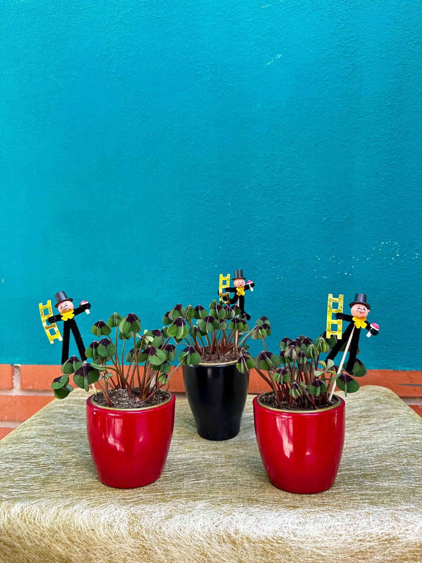 Trébol de la Suerte en Maceta de Cerámica – Especial Navidad