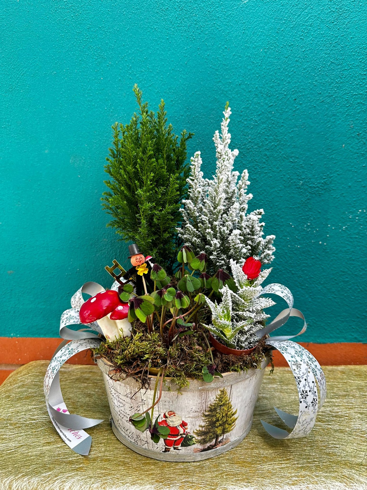 Centro Navideño Bosque Mágico