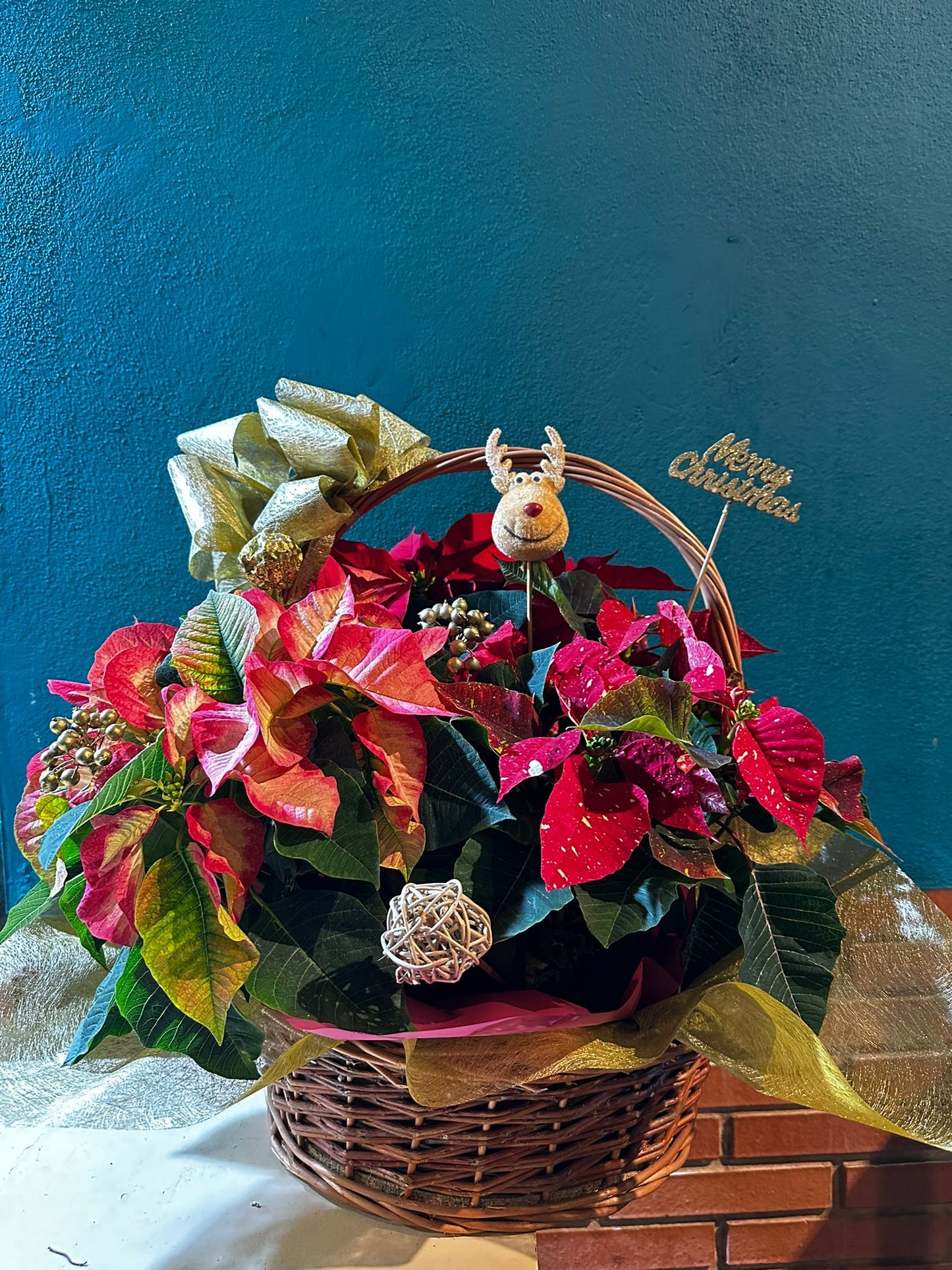 Centro navideño en cesta 50 cms