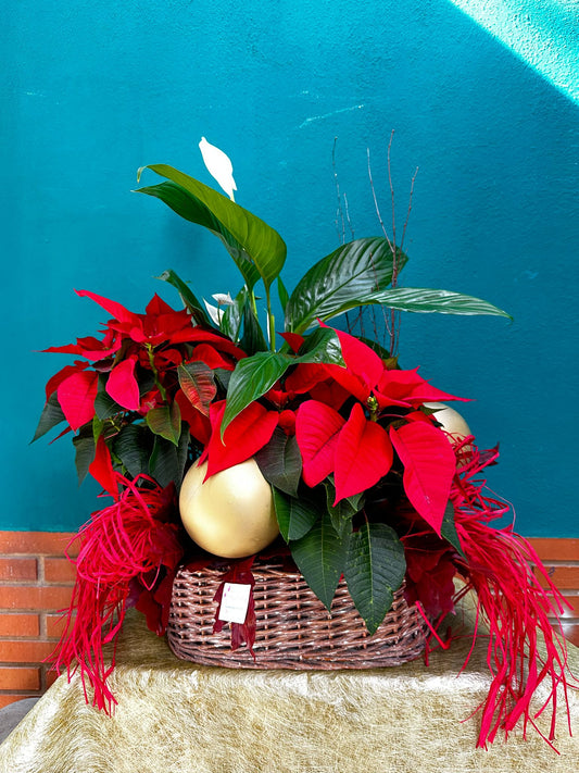 Cesta Imperial - 70 cm