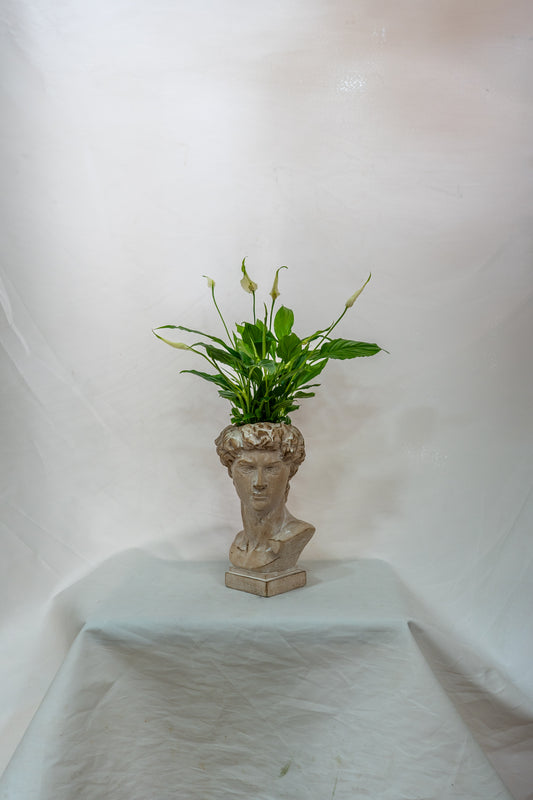 Miguel Angel with the Peace Plant