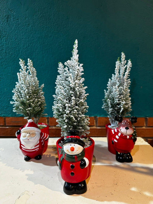 Pino Nevado Mini en Maceta Navideña