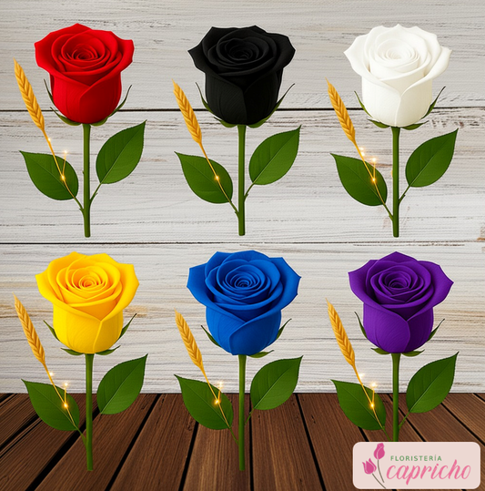Rosa Eterna