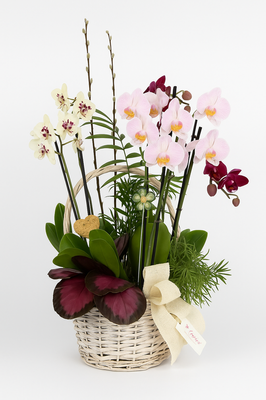 Orchid Arrangement in a Basket