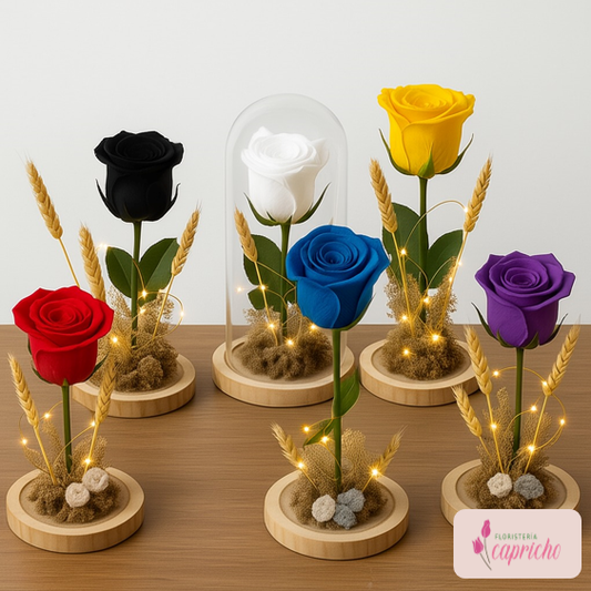 Rosa Eterna en Cúpula