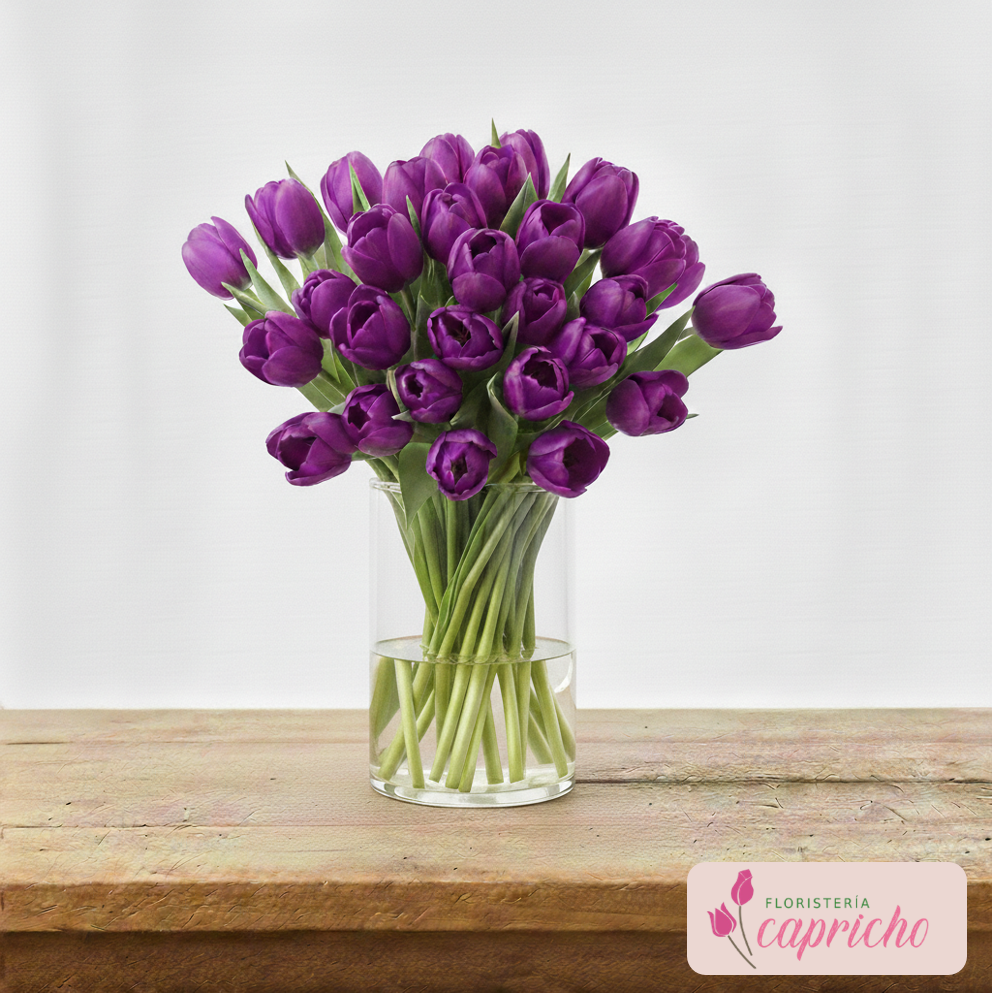 Ramo de Tulipanes Morados